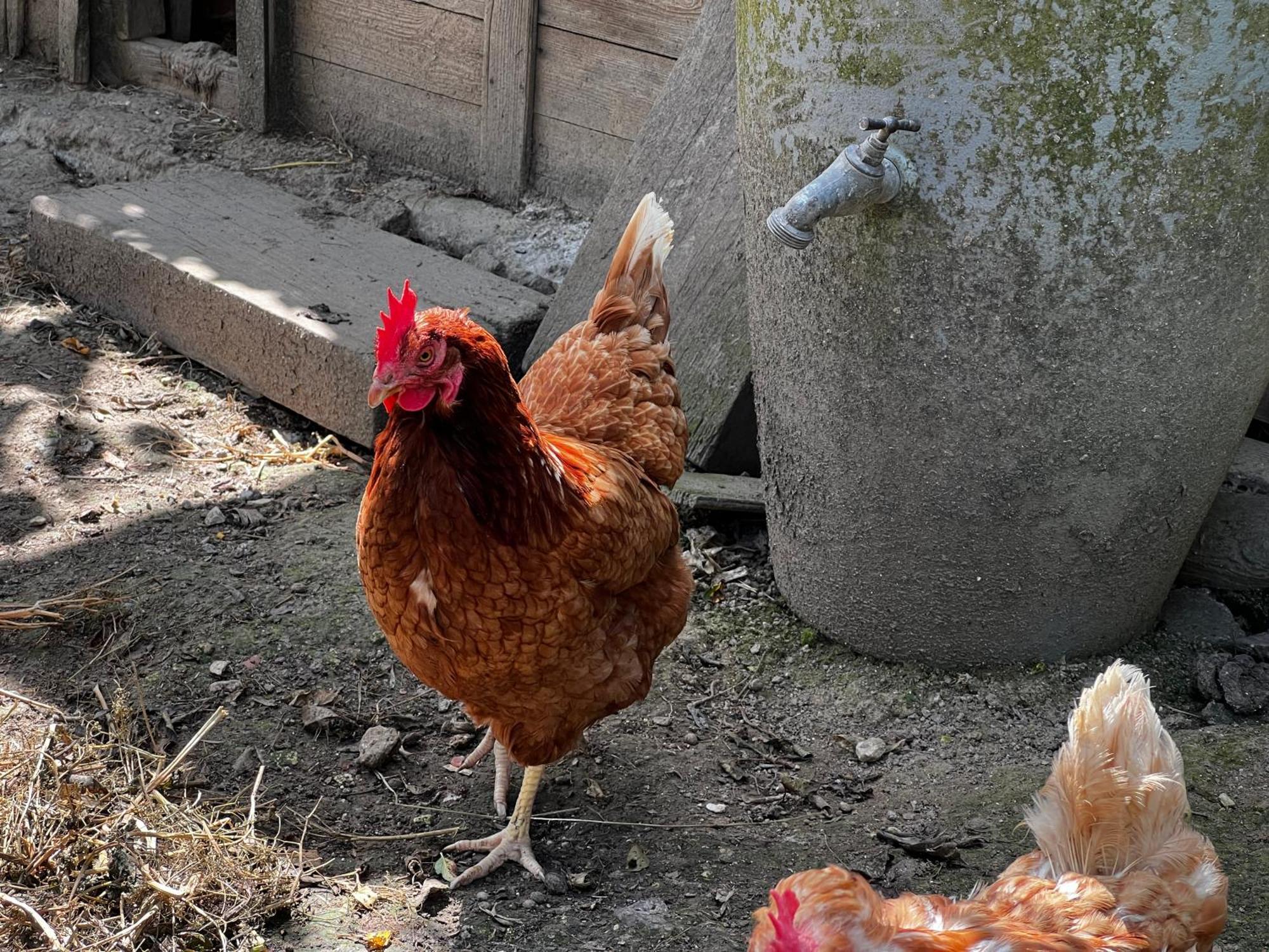 A La Ferme De Thilloy Panzió Ligny-Thilloy Kültér fotó